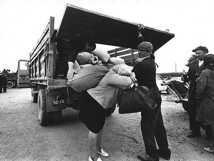 Лучшие работы фотографов советской Литвы Лучшие работы фотографов советской Литвы