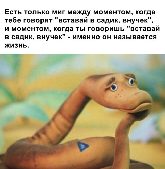 Подборка прикольных картинок и фотографий на 8 апреля. Подборка прикольных картинок и фотографий на 8 апреля.