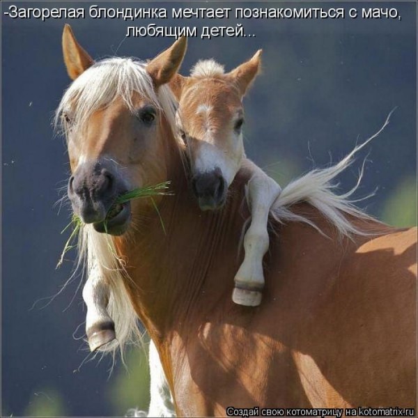 Мысли вслух :)