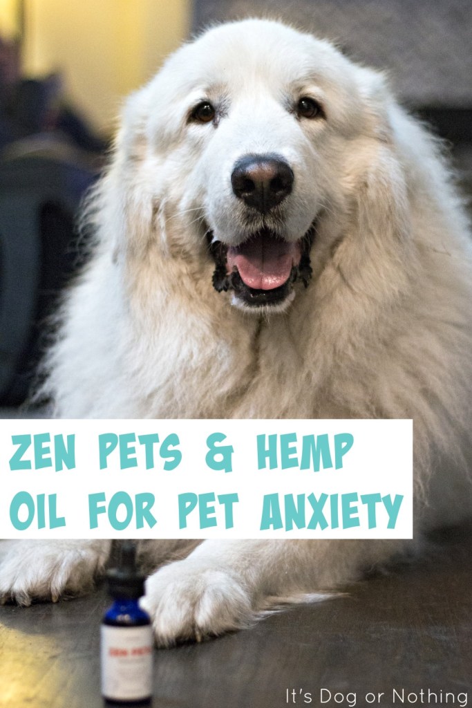 Does your dog suffer from anxiety or inflammation? Populum's Zen Pets may be the hemp oil solution you're looking for.