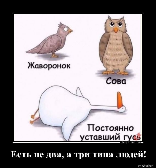 Не важно, с какой ноги ты встал. Главное, не на кота... Не важно, с какой ноги ты встал. Главное, не на кота...