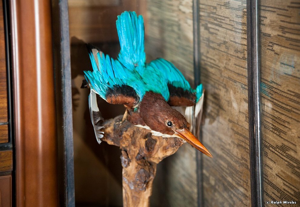 Прогулка по заброшенному отелю в Японии