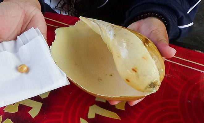 Женщина в Таиланде заказала ракушек на ужин и в одной из них нашла жемчужину