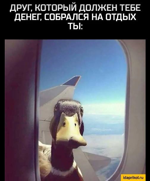 Собрался на рыбалку. Не смог найти сигареты. Взял сигареты сына. Через час поймал трех дельфинов, двух акул и одно лохнесское чудовище веселые картинки