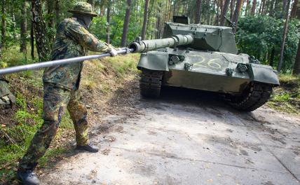 «Леопарды» уже давно были дохлыми: Зачем немцы подсунули свинью Украине геополитика,украина