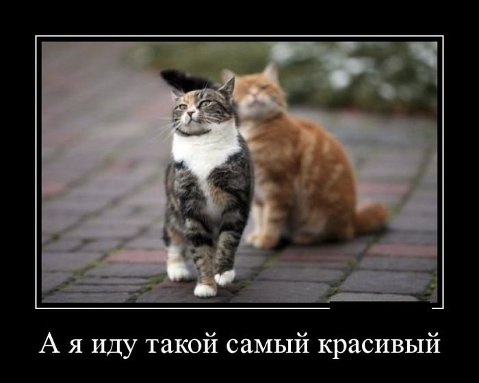 Забавные, смешные и прикольные демотиваторы из нашей жизни Забавные, смешные и прикольные демотиваторы из нашей жизни демотиваторы свежие,приколы,смешные демотиваторы,юмор