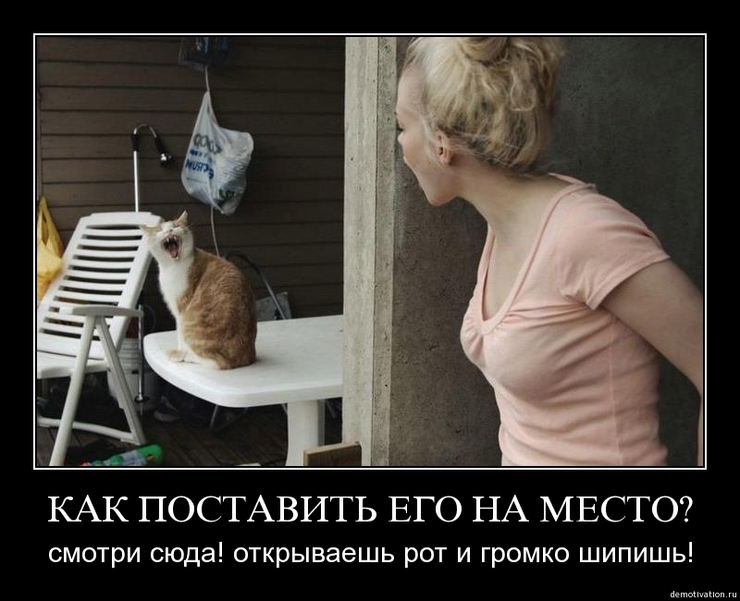 Подборка веселых и забавных демотиваторов из сети демотиваторы свежие,смешные демотиваторы,юмор