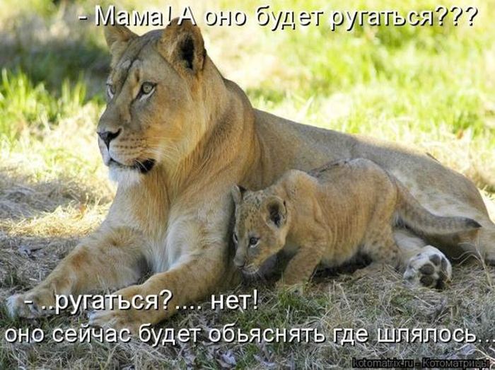 Мысли вслух :)