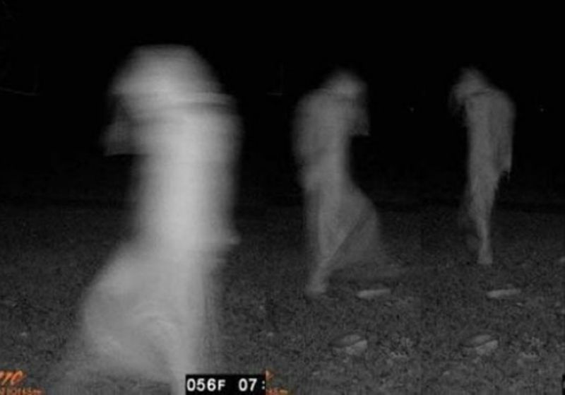 Странные кадры с охотничьих камер ночного видения