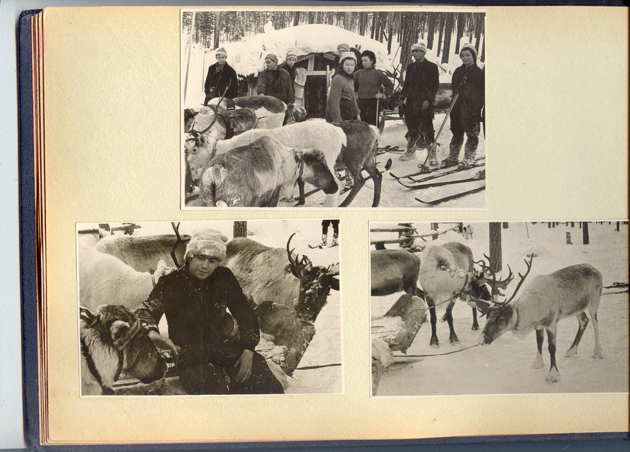 1957 г. Самый удачный зимний поход группы  Дятлова дальние дали
