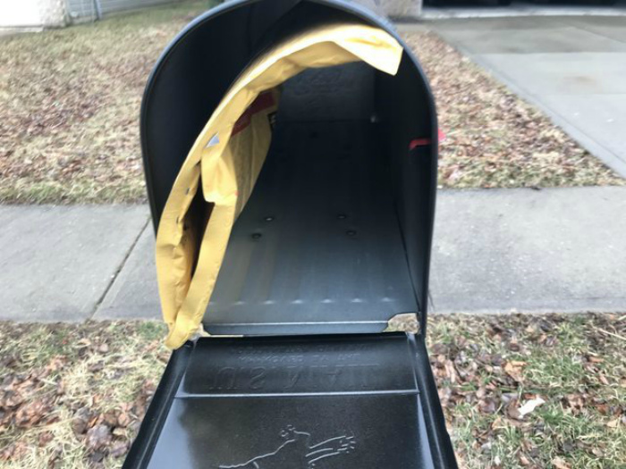 Уморительные фотографии из американской жизни Уморительные фотографии из американской жизни