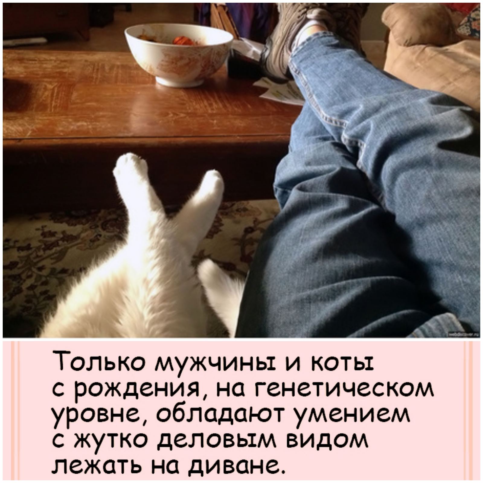 Веселые истории о нас Веселые истории о нас