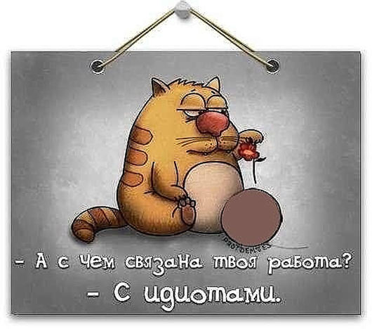 Утро понедельника в животном саду веселые картинки,животные,позитив,Смешные животные