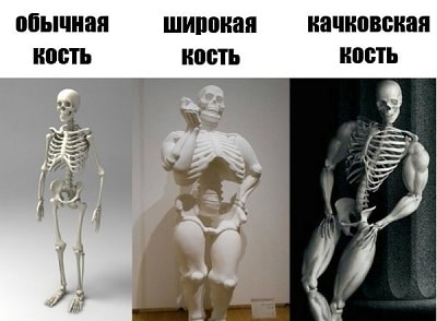 Тяжелая кость: есть ли оправдание большому весу от скелета? здоровье,красота,лишний вес,питание,похудение,строение