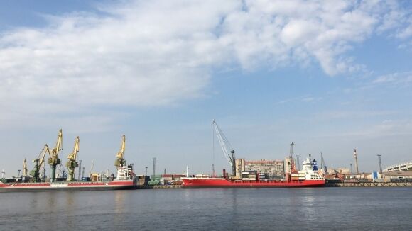 Власти РФ прокомментировали сообщения о росте цен на ряд товаров