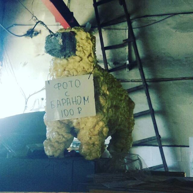 Как простой баллон монтажной пены может изменить вашу жизнь 