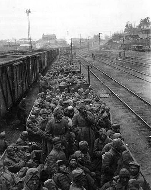 Сталинский приказ 