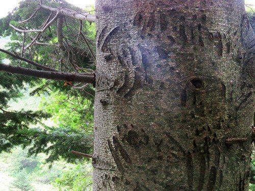 Кунашир: мыс Столбчатый Кунашир: мыс Столбчатый