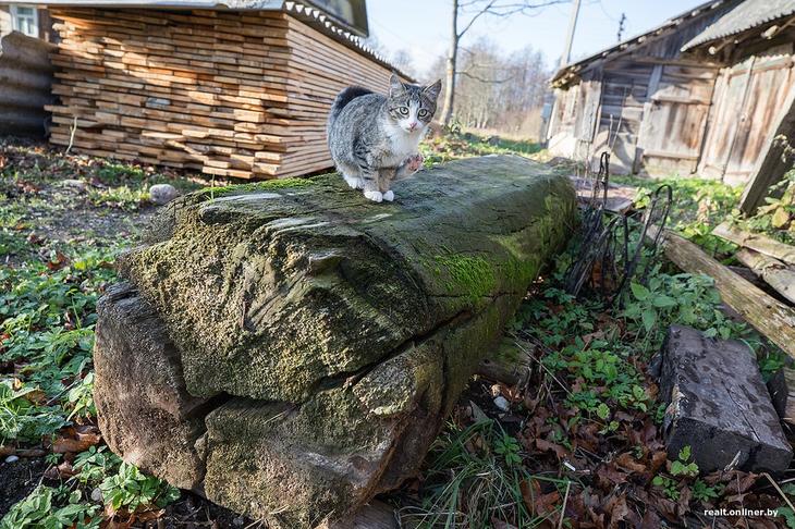 «Вложил сюда все свои сбережения». Как один человек возрождает деревню на Голубых озерах 
