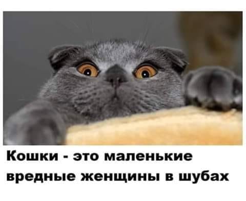 - Дорогая, хочется уже нормально и сытно поесть!.. Что у нас будет на ужин?... какая, делать, уговаривать, неловкое, руками, малыш, жестокость, Михайлова, Стаса, гастроли, Украине, запретила, Россия, санкции, украинские, ответ, НетМеня, Обеими, первое, означает