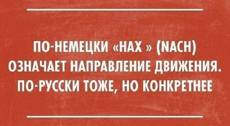 Подборка метких высказываний, которые подарят вам позитивный настрой 