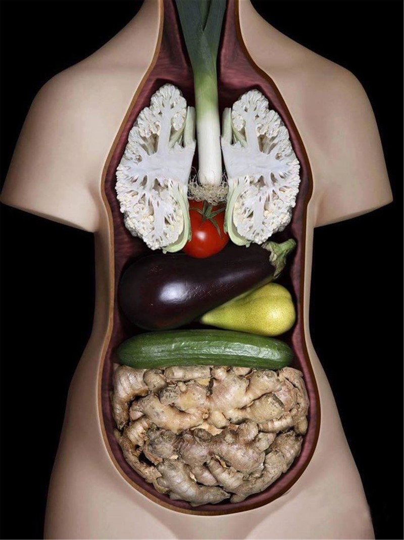 Пищеварительная система человека не предназначена для переваривания мяса веганы, веганы и мясоеды, мифы, мясо
