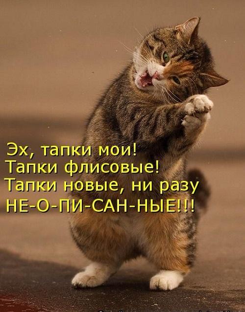 Подборка хороших смешных картинок