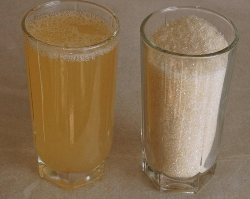 Здоровье от природы: вот как приготовить варенье из шишек рецепты