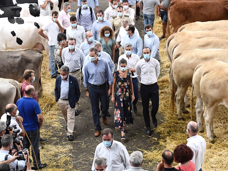 Осознанное потребление: королева Летиция путешествует по Испании в старых нарядах Осознанное потребление: королева Летиция путешествует по Испании в старых нарядах Монархи,Новости монархов