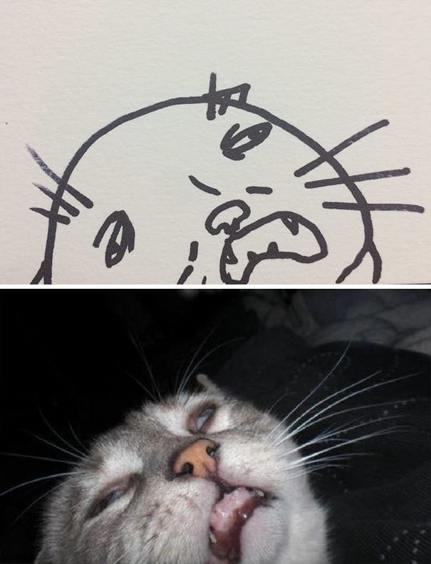 Poorly Drawn Cat