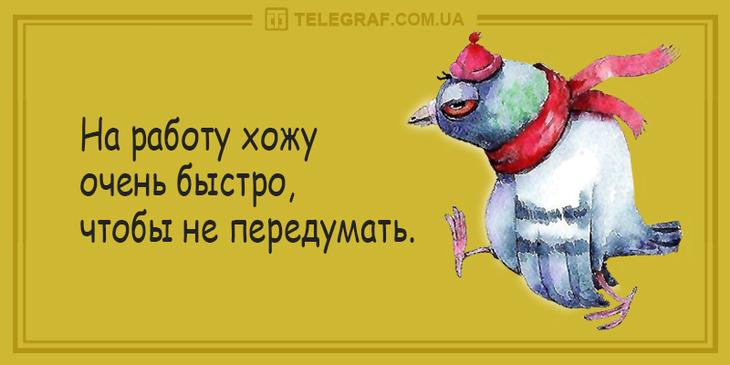 Уморительные истории о работе, которые скрасят ваши трудовые будни 