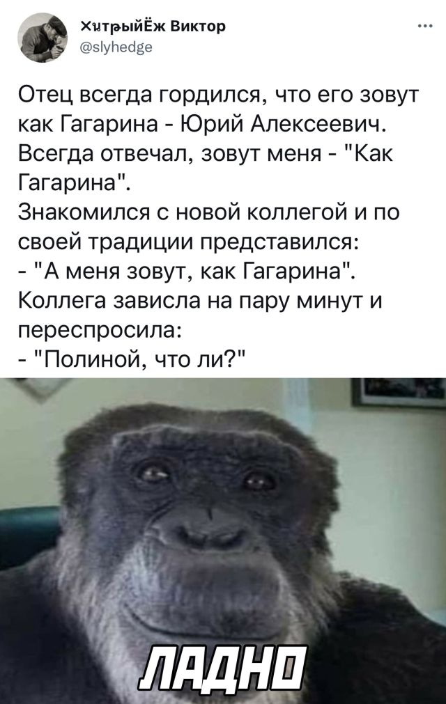 Подборка картинок. Вечерний выпуск Подборка картинок. Вечерний выпуск приколы,смешные картинки,юмор