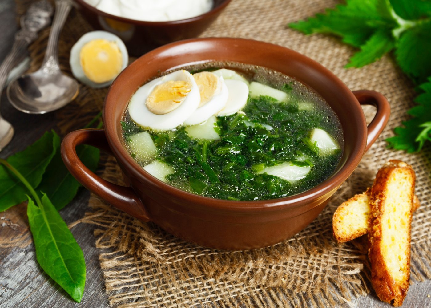 Блюдо апреля — зеленый суп с молодой крапивой и щавелем первые блюда,супы
