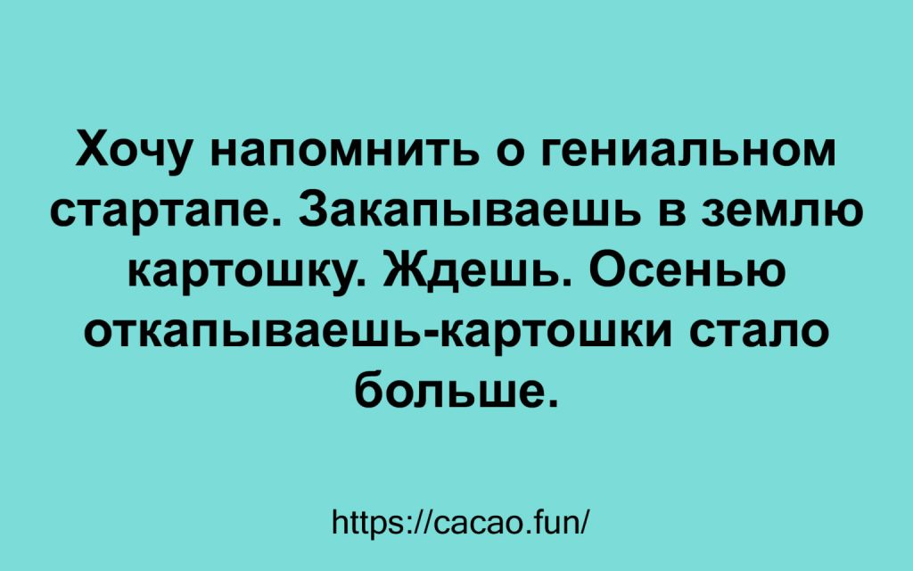 Шутки, анекдоты и истории в свежей подборке 