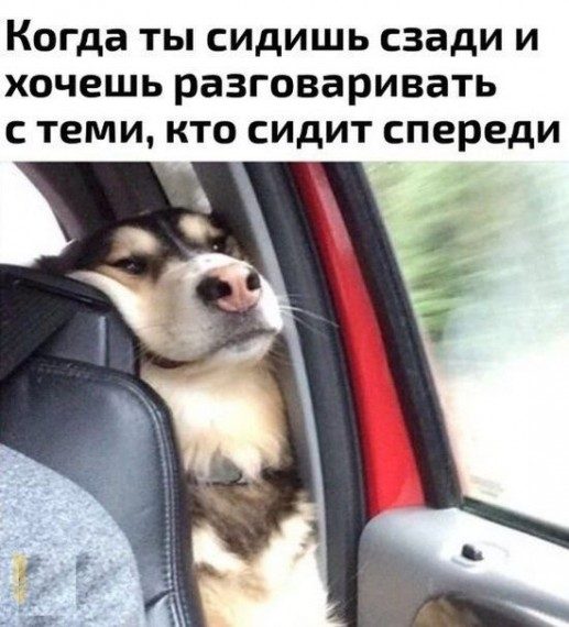 Смешные картинки и приколы Смешные картинки и приколы