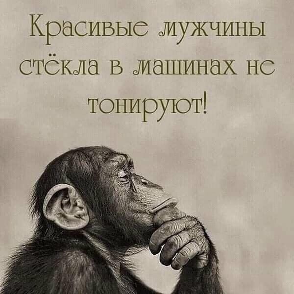 Свежий юмор для прекрасного настроения Свежий юмор для прекрасного настроения