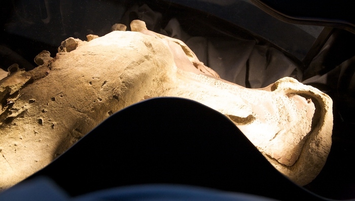 Мумии динозавров динозавры, ожившие мумии, наука, длиннопост