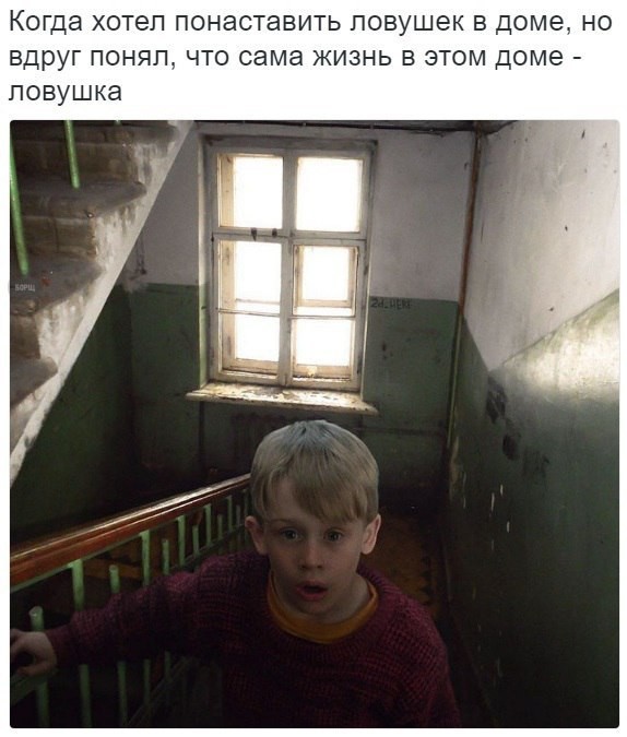 Смешные комментарии и высказывания из социальных сетей высказывания, комментарии, прикол