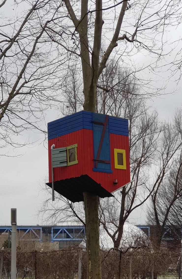 Подборка картинок. Вечерний выпуск Подборка картинок. Вечерний выпуск приколы,смешные картинки,юмор