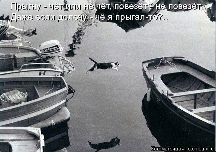 Лучшие котоматрицы за прошедшую неделю