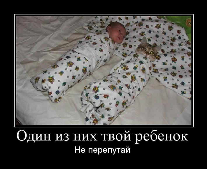 Подборка зачетных, смешных и веселых демотиваторов со смыслом Подборка зачетных, смешных и веселых демотиваторов со смыслом демотиваторы свежие,приколы,смешные демотиваторы,юмор