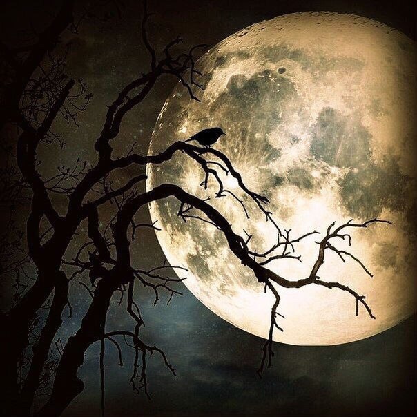 Классные и прикольные фотографии Классные и прикольные фотографии красивые фотографии,прикольные картинки,шикарные фотографии