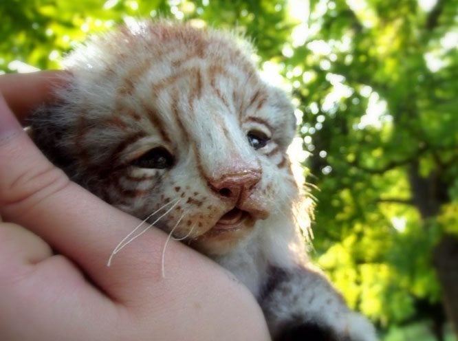 Животные, которых не создавала природа. Невероятные создания Ли Кросс Животные, которых не создавала природа. Невероятные создания Ли Кросс handmake,куклы и игрушки,поделки своими руками,разное