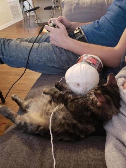 Много позитива! Много позитива!