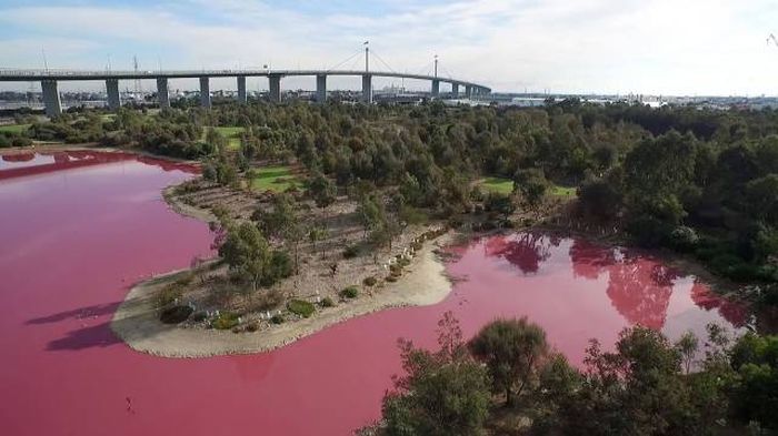 Забавные и веселые картинки для настроения (11 фото)