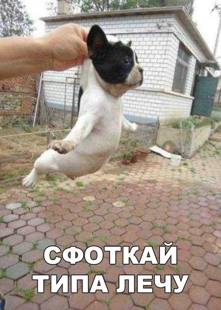 Забавные фотографии с прикольными надписями из нашей жизни 