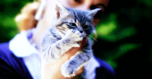 Веселые гифки субботы Веселые гифки субботы прикольные гифки ржака, свежие гифки позитив, смешные гифки