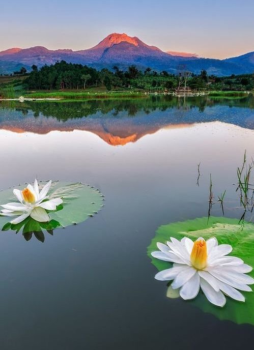 Классные и прикольные фотографии Классные и прикольные фотографии красивые фотографии,прикольные картинки,шикарные фотографии