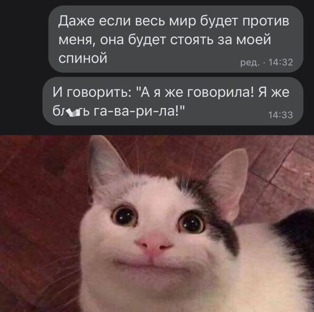 Подборка картинок. Вечерний выпуск Подборка картинок. Вечерний выпуск приколы,смешные картинки,юмор