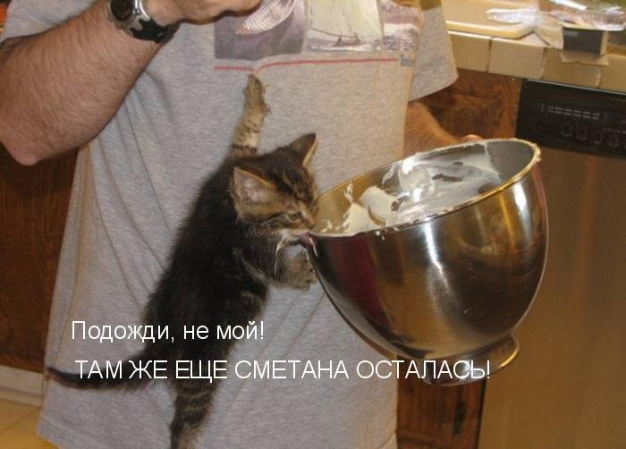 Мысли вслух :)